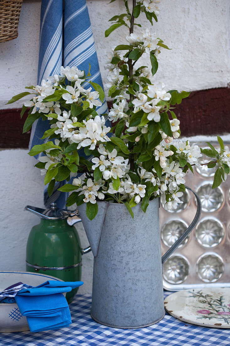 Branches of fruit blossom in old metal jug