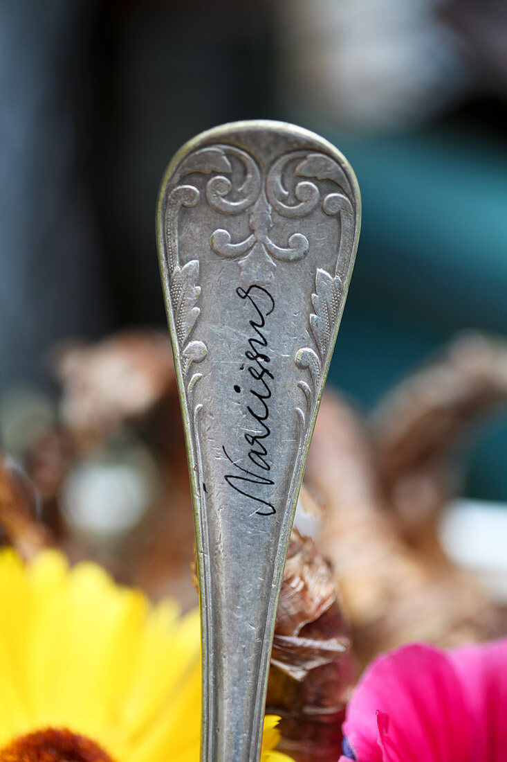 Labelled cutlery used as plant marker