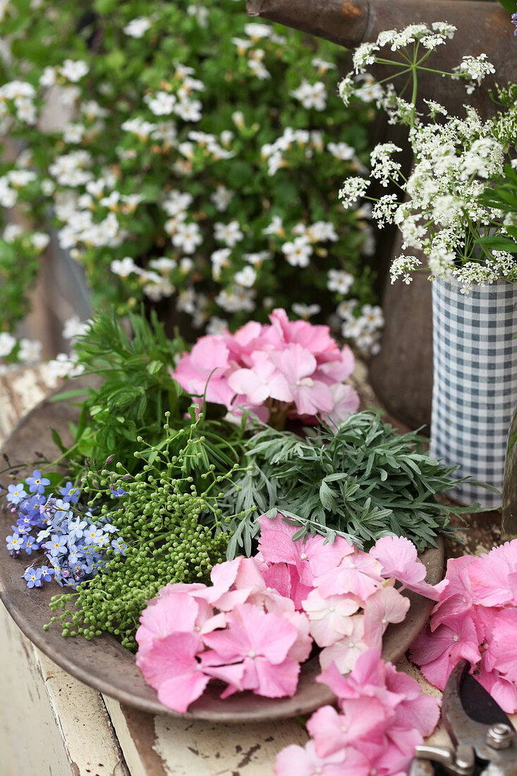 Hortensienblüten, Lavendelblätter, Holunderbeeren und Vergissmeinnicht