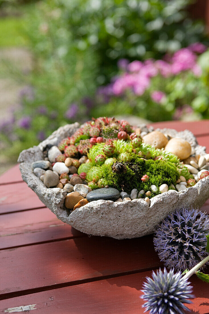 Mini rock garden in DIY concrete bowl
