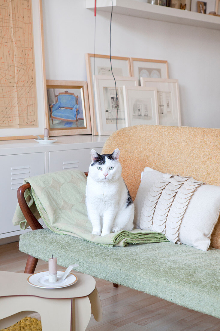 Katze sitzt auf einem Retrosofa im Wohnzimmer in Naturtönen