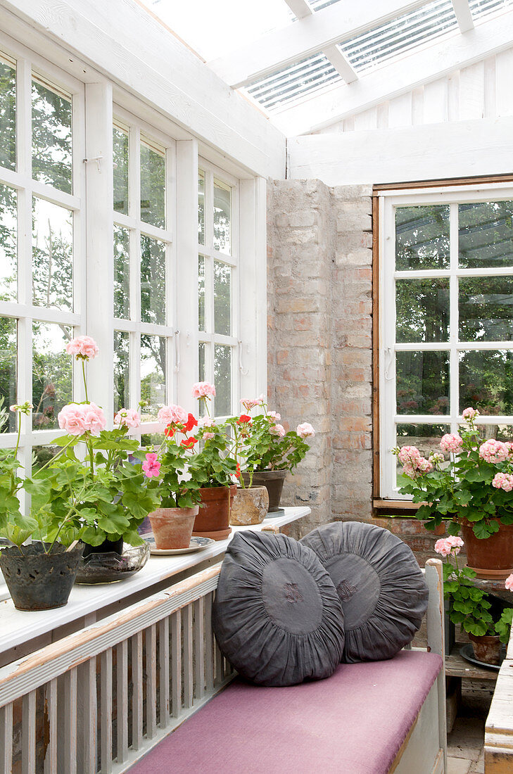 Grey round cushions on bench below lattice windows with geraniums on the windowsill