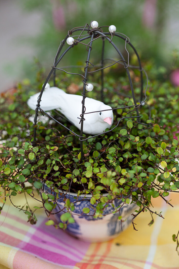 Handmade wire birdcage and bird ornament in pot of wire vine