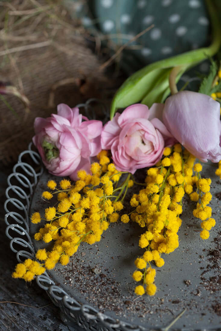 Ranunculus, tulips and mimosa flowers on metal tray