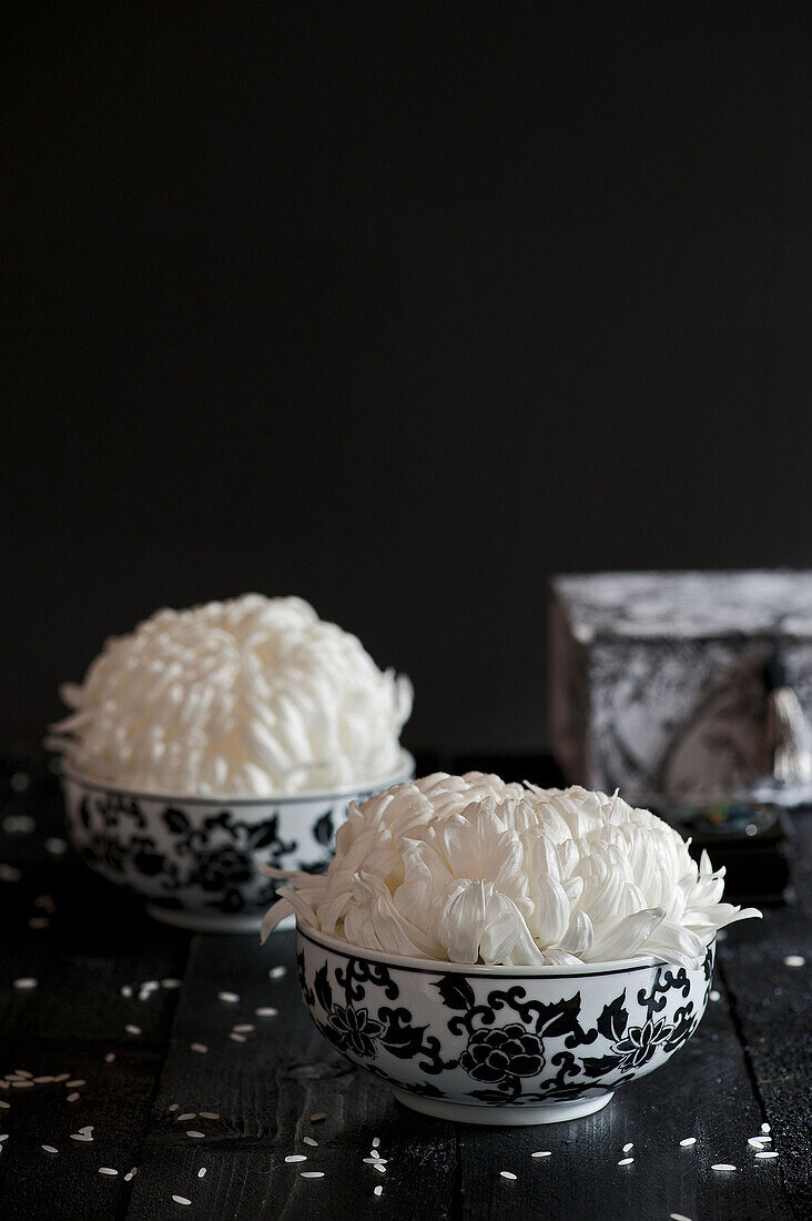 White chrysanthemums (Chrysanthemum) in black and white patterned bowls