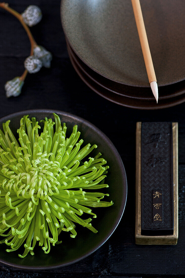 Green chrysanthemum (Chrysanthemum) in a black bowl