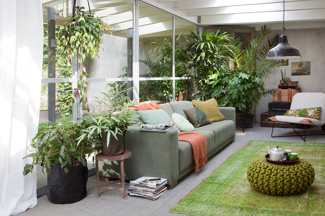 Conservatory with green plants, sofa, and green rug
