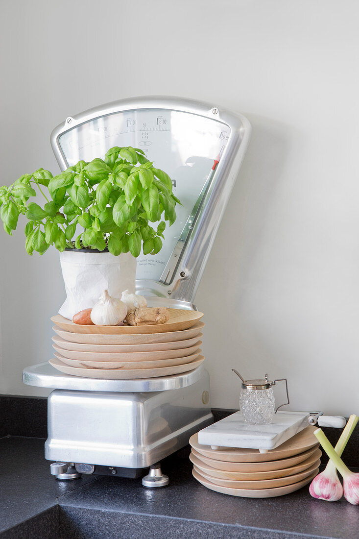 Stacked wooden plates and potted basil plant on kitchen scales