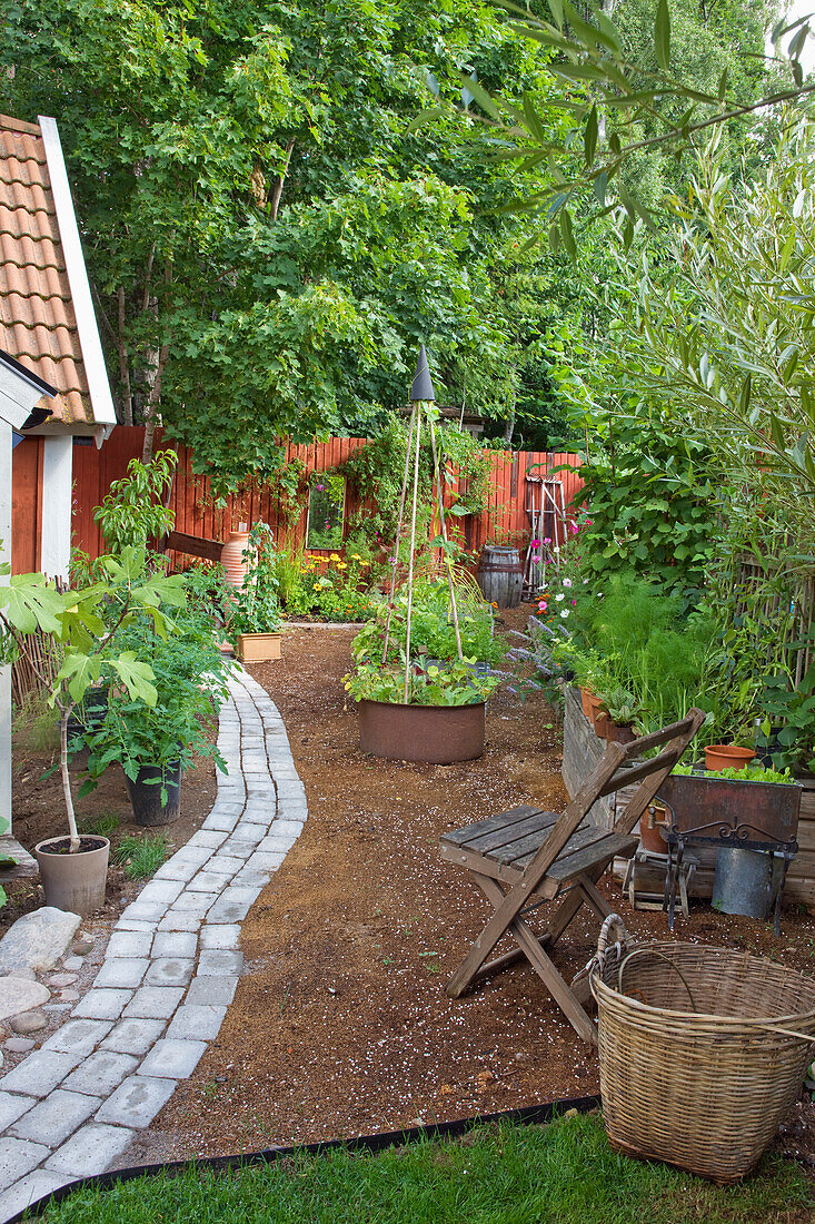 Sommerlicher Garten mit Steinweg