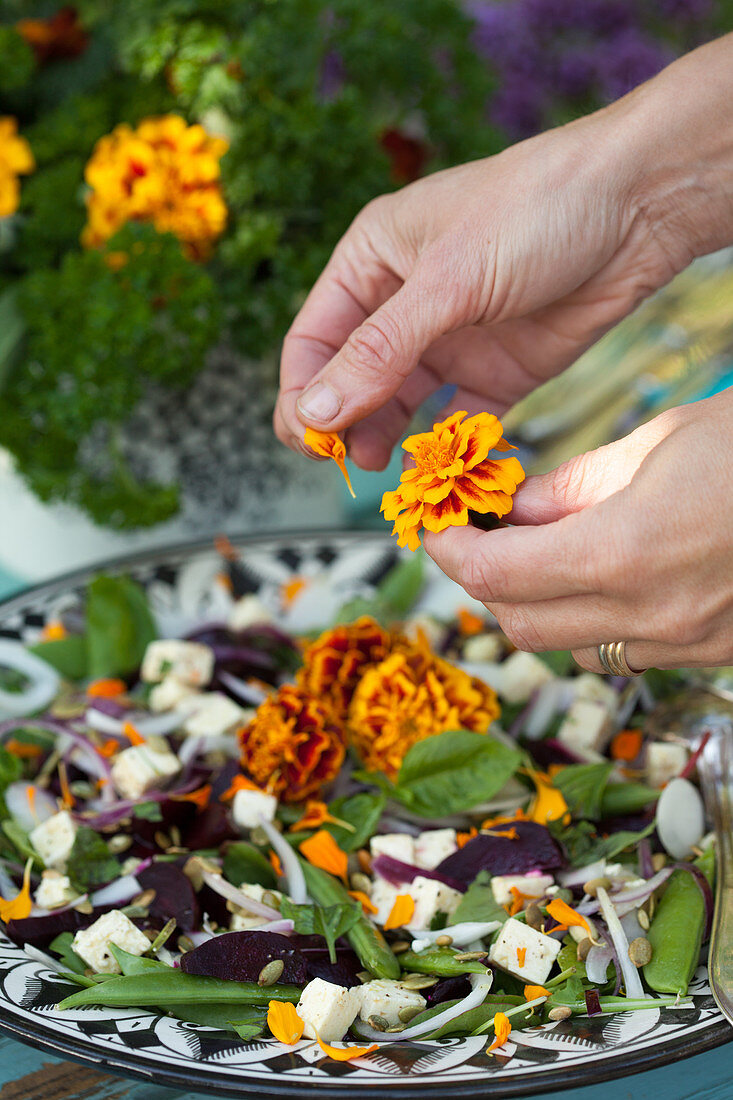 Hände zupfen Blütenblätter der Studentenblume über einen Salat