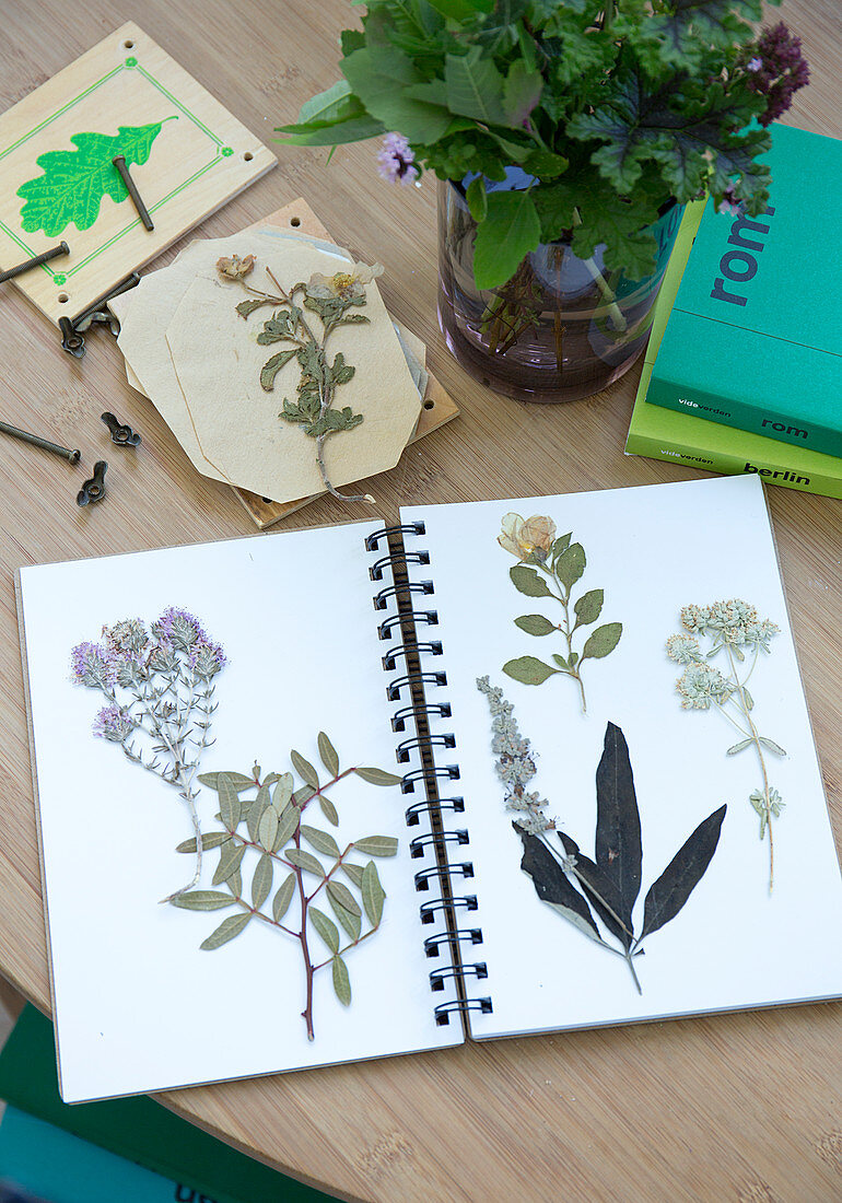 Ringbuch mit gepressten Pflanzen als Herbarium