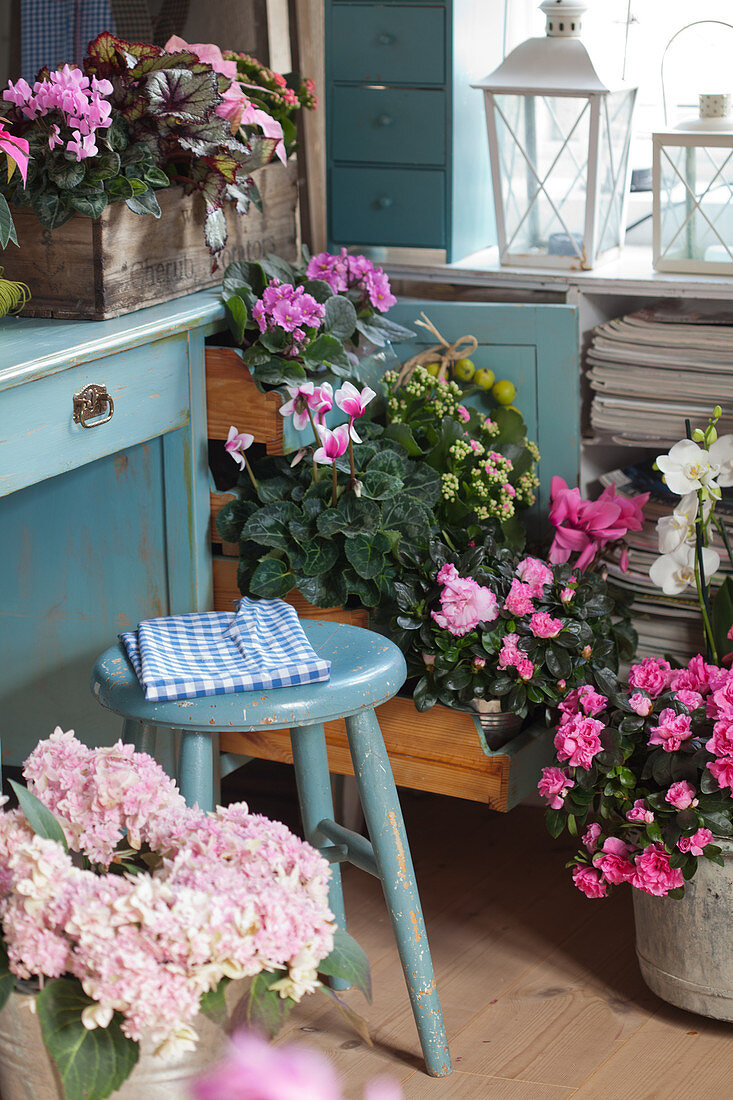 Verschiedene Blumen in Rosa und Pink an einem Schreibtisch in Blau