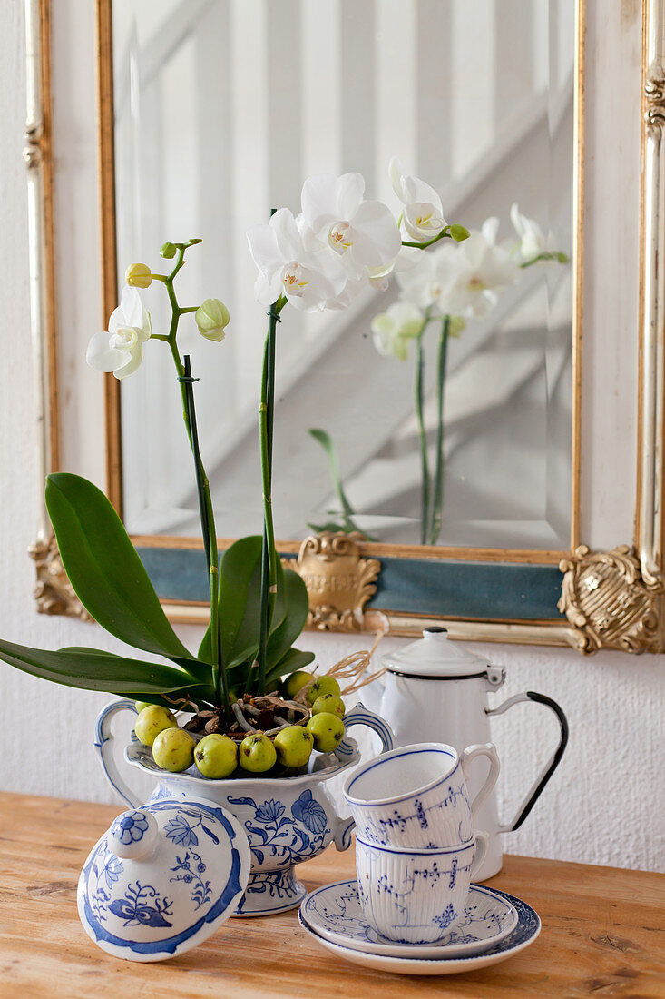 Weiße Orchidee mit Kranz aus Zieräpfeln in einer Sauciere