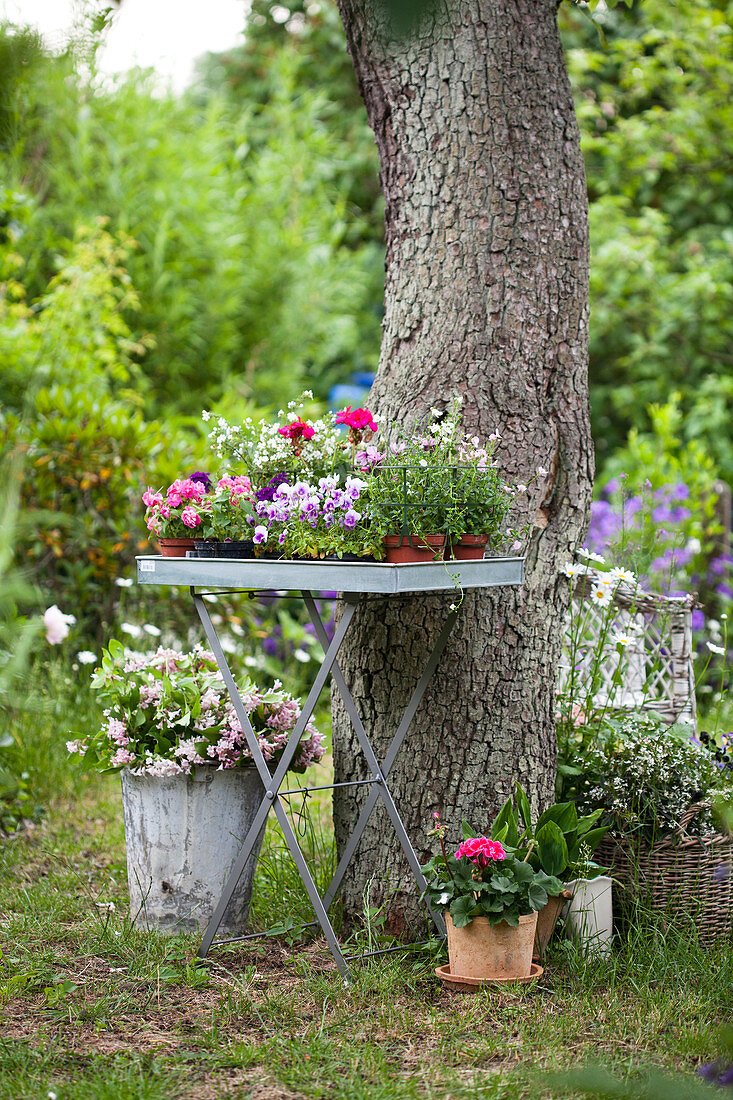 Klappbarer Metalltisch mit Blumen und Pflanzen am Baum im Garten