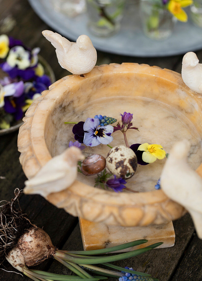 Quail egg, spring flowers and snail shell in a bird bath