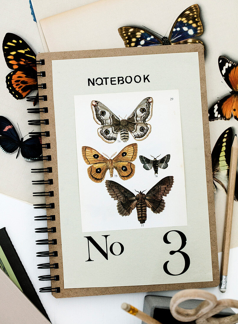 Postcard with butterfly motifs and number 3 on a notebook