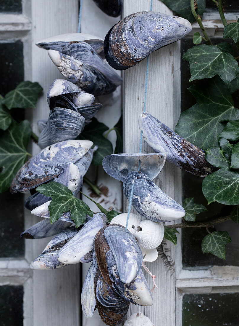 Shell necklace made of mussels on the window with ivy
