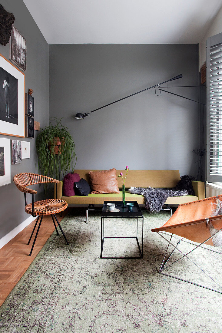 Klassikerstühle und grün-braune Couch im Wohnzimmer mit grauer Wand