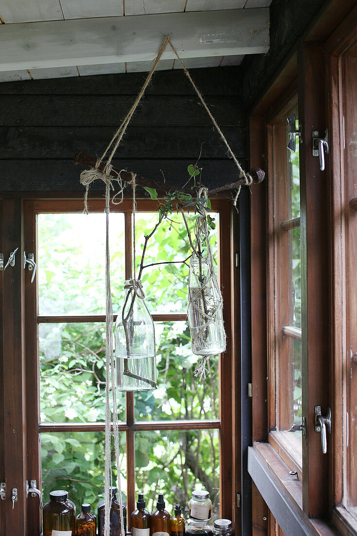 Sprigs in glass bottles hanging from ceiling beams