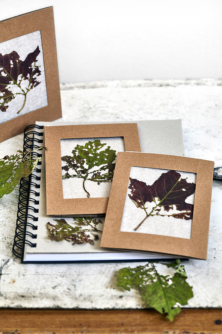 DIY pictures made with dried autumn leaves