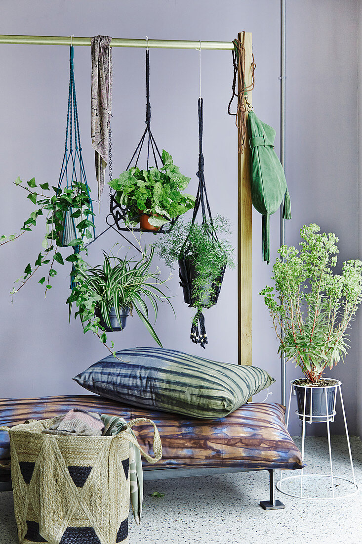 Green house plants in hanging baskets hung from clothes rack