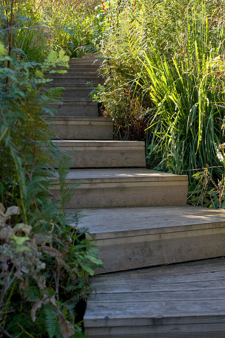 Winding flight of wooden steps in garden