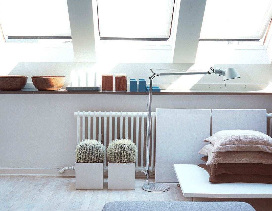 Modern living room with a row of skylights, cacti on the floor