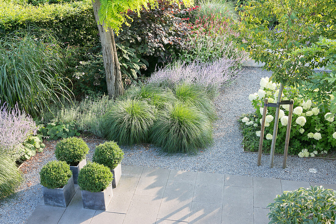 Terrace with concrete flags and shrubs and perennials lining gravel path leading through garden