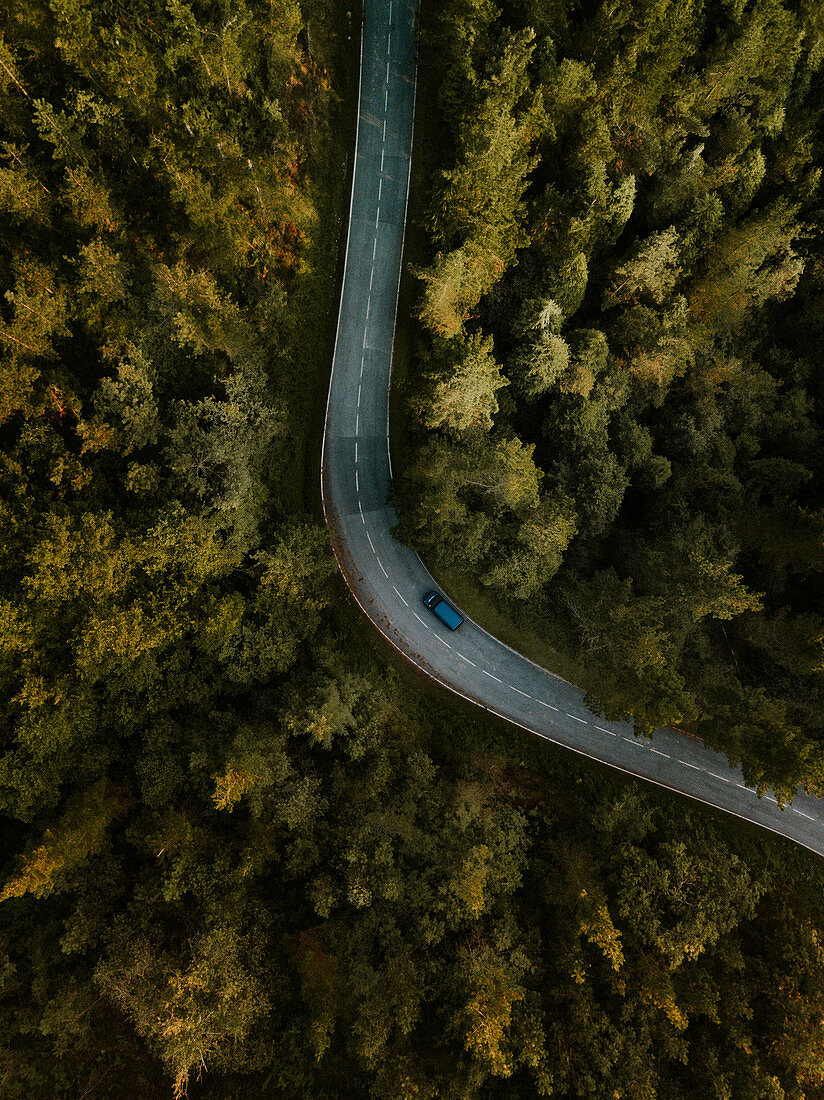 Bird's-eye view of car on road running through woods