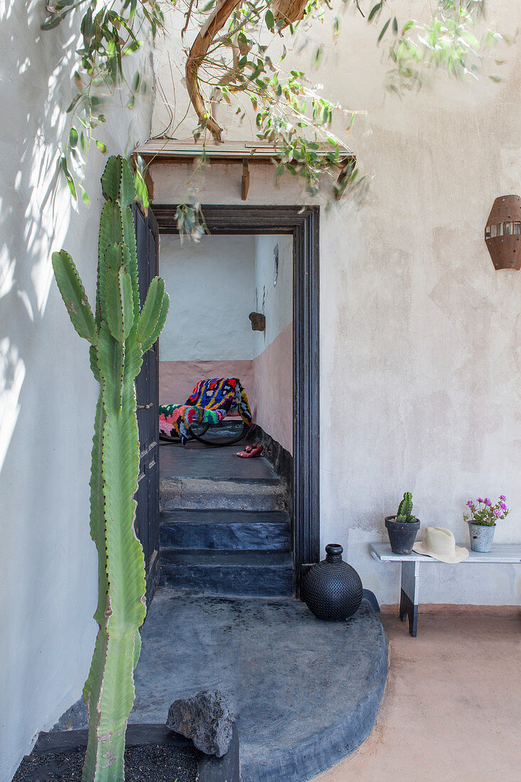 Kaktus vor dem Eingang eines mediterranen Hauses