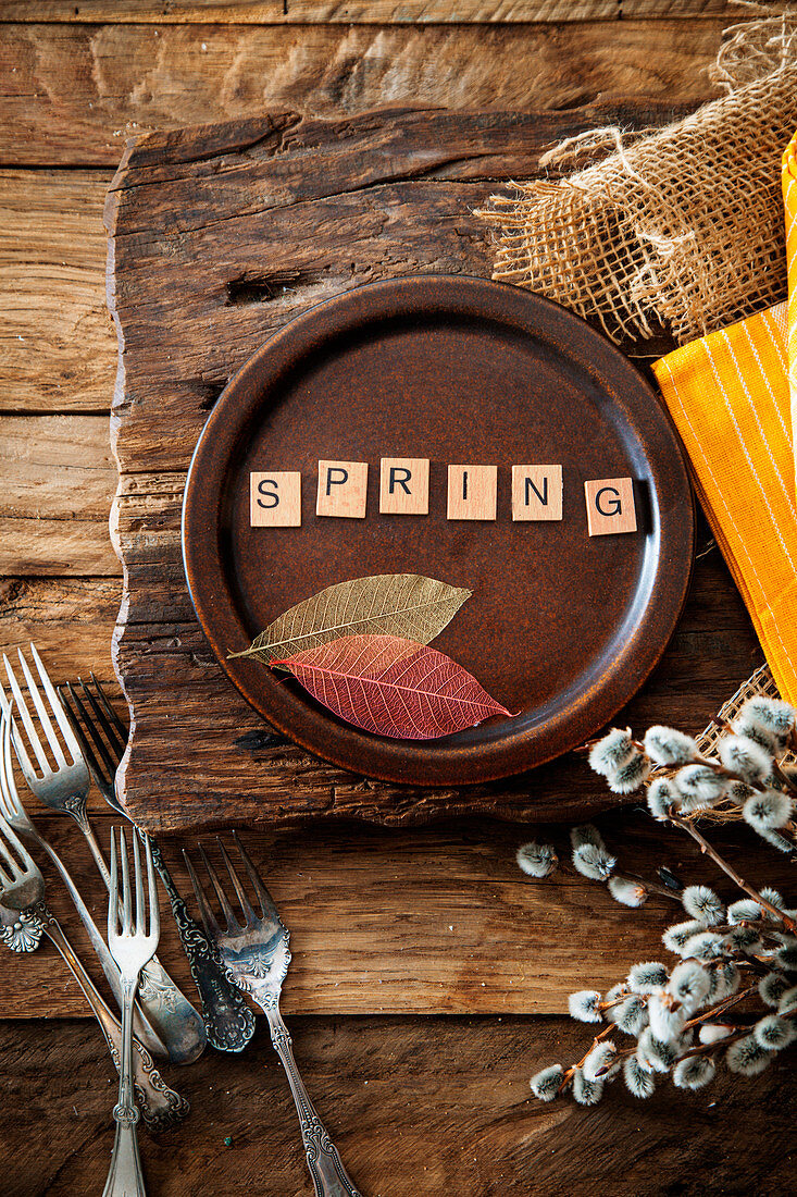 Rustikales Frühlingsgedeck: Teller mit Blätterdeko und Schriftzug 'Spring'