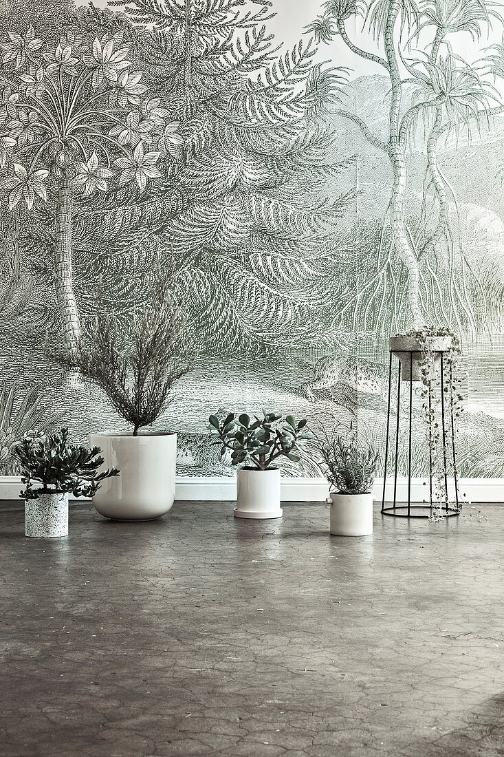 Houseplants in white planters on the floor in front of jungle-themed wallpaper