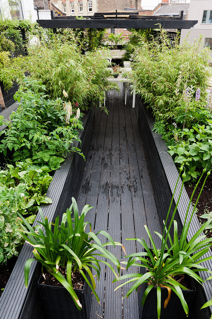 Lushly planted raised beds lining entrance to roof terrace