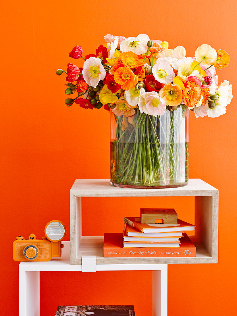 Strauß Mohnblumen auf Regalmodulen vor orangefarbener Wand