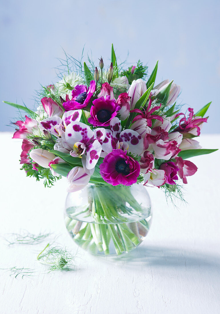 Bouquet of moth orchids, tulips, anemones, nerine lilies and love-in-a-mist