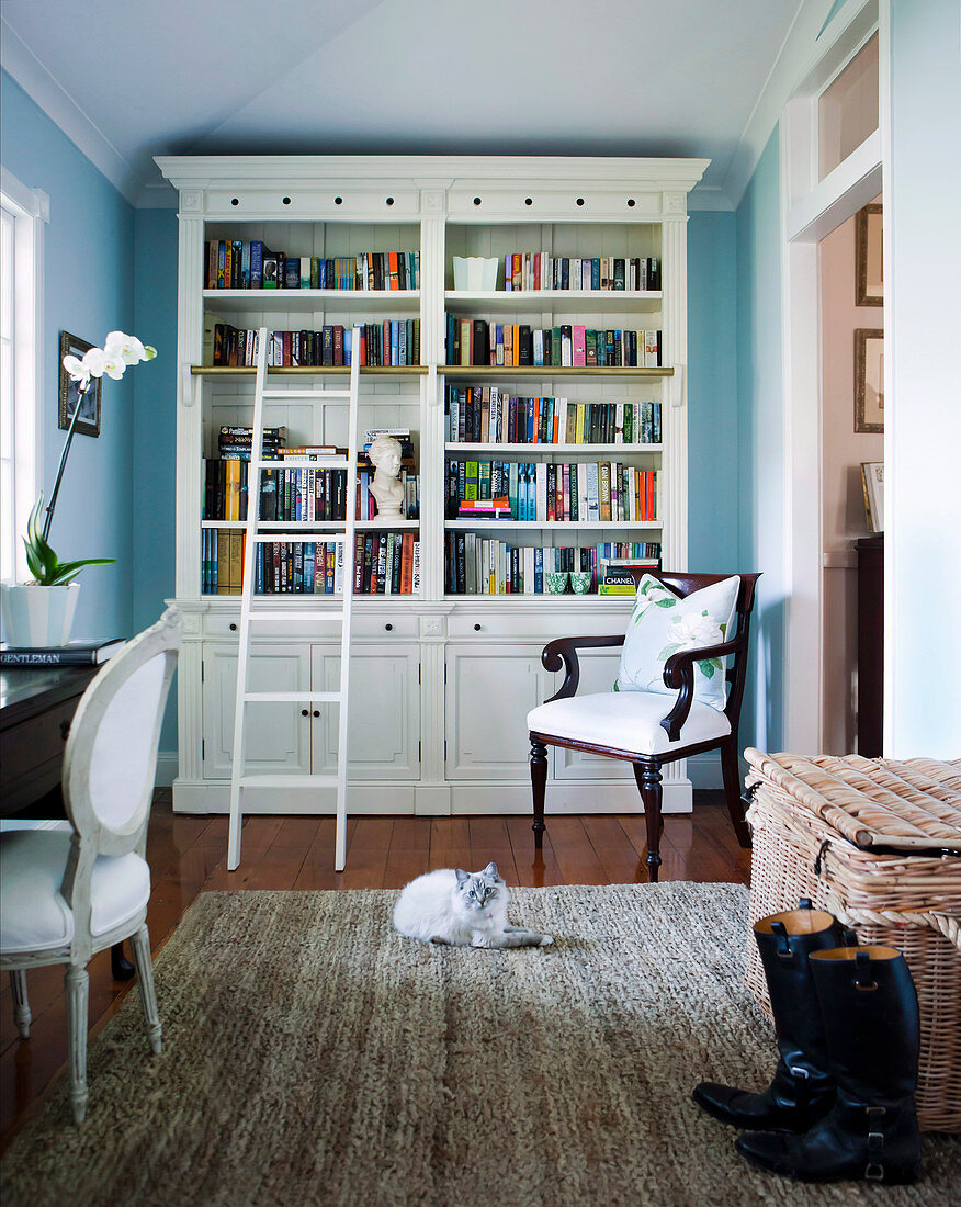 Study with light blue walls and white bookcase with ladder