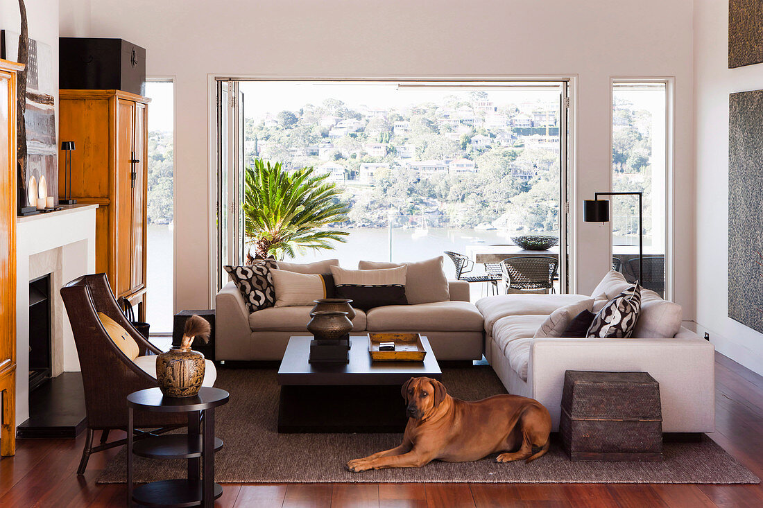 Dog lies in the living room with an open panoramic window