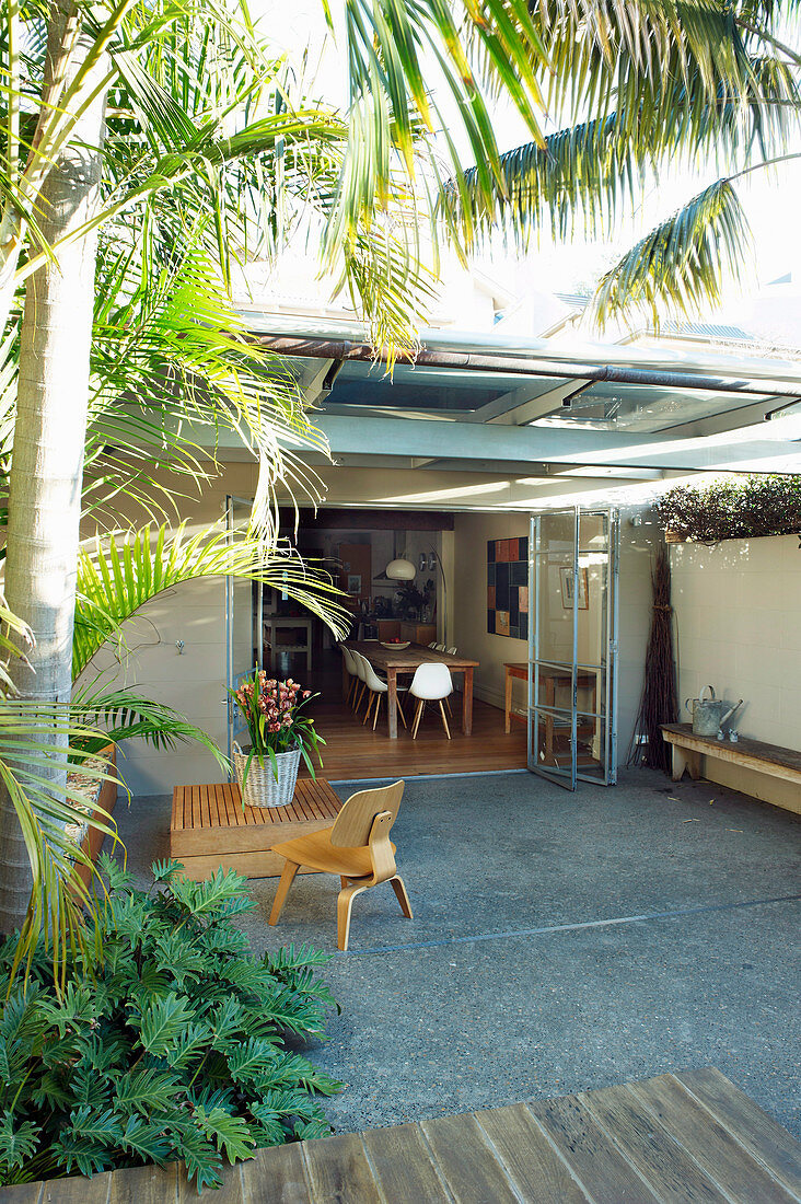 Palme auf der Hinterhof-Terrasse mit Blick ins Esszimmer