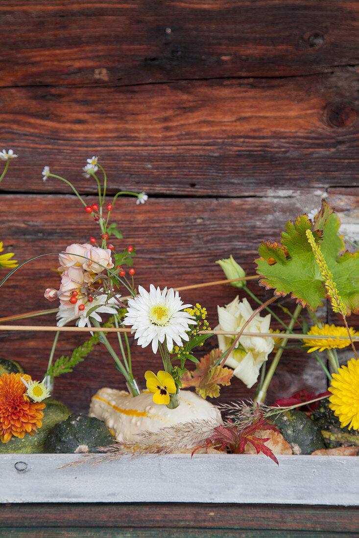 Schale mit Zierkürbissen und Herbstblumen geschmückt