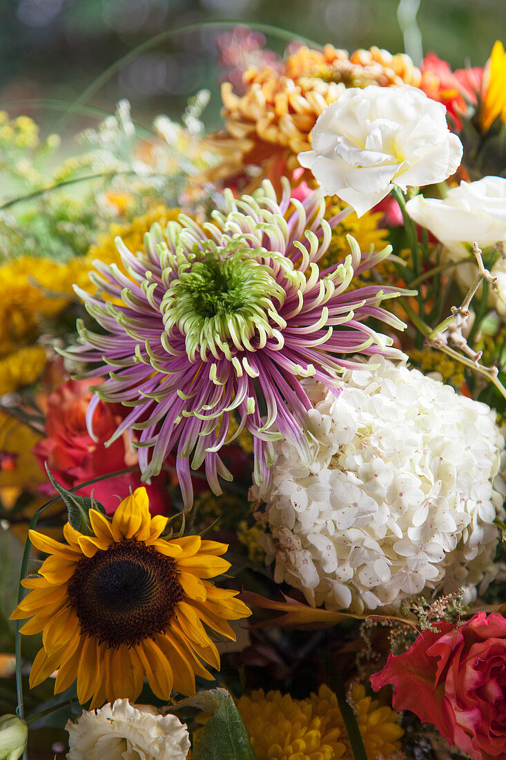 Üppiger Herbststrauß mit Hortensie, Chrysanthemen und Sonnenblumen