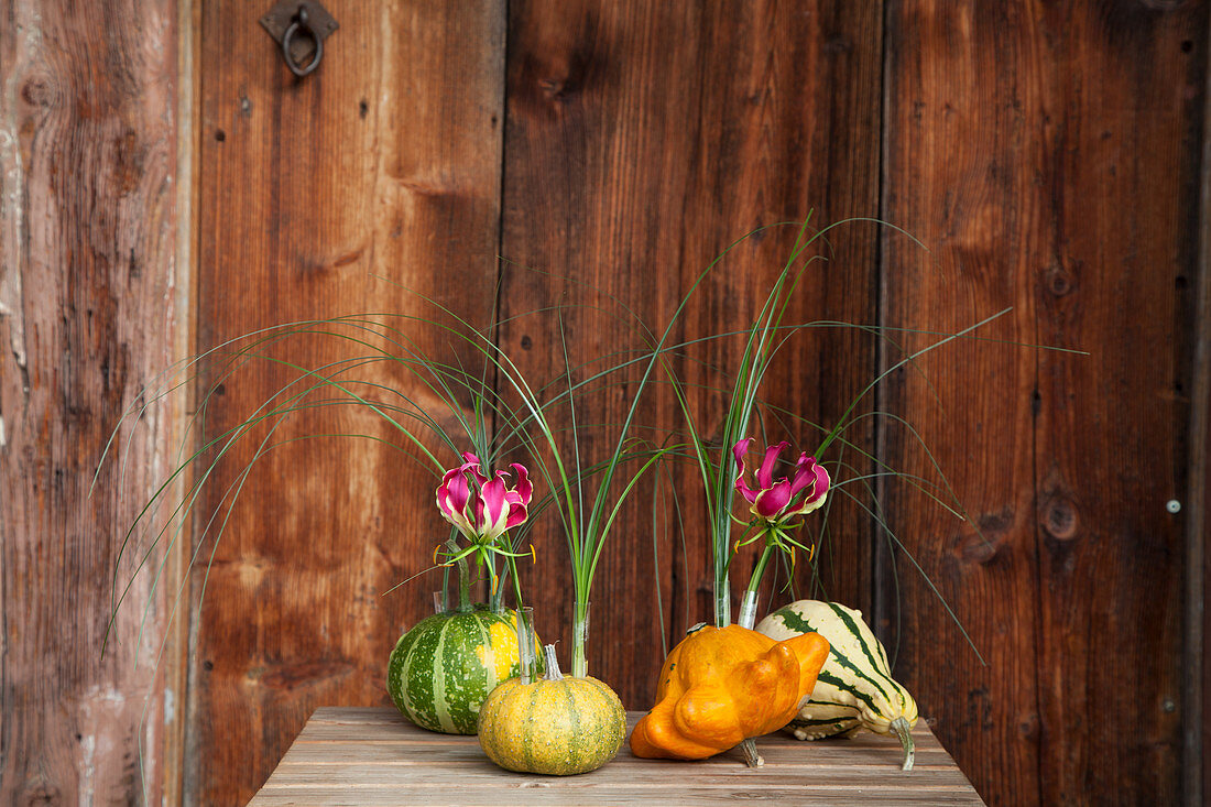 Ornamental squash used as vases for grasses and gloriosa lilies