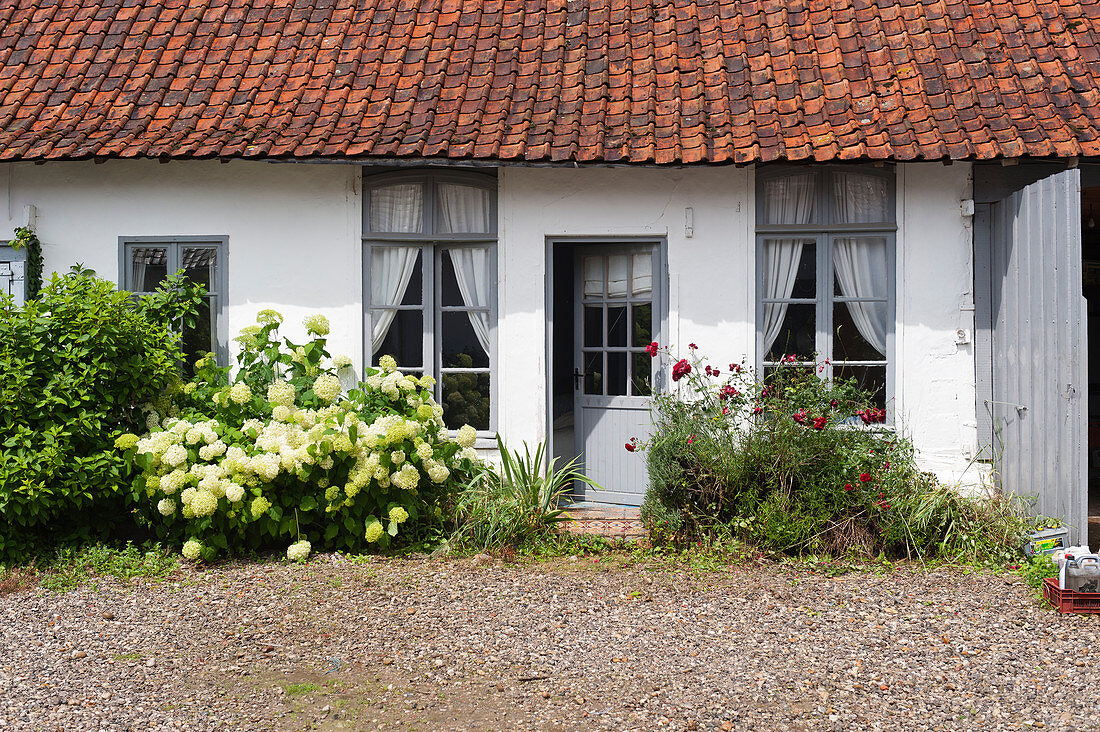 Wild front garden and courtyard outside country house with grey shutters
