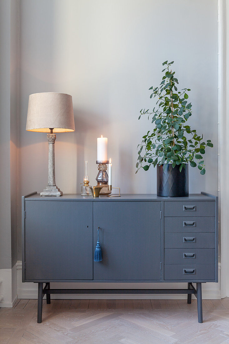 Table lamp and houseplant on dark grey sideboard
