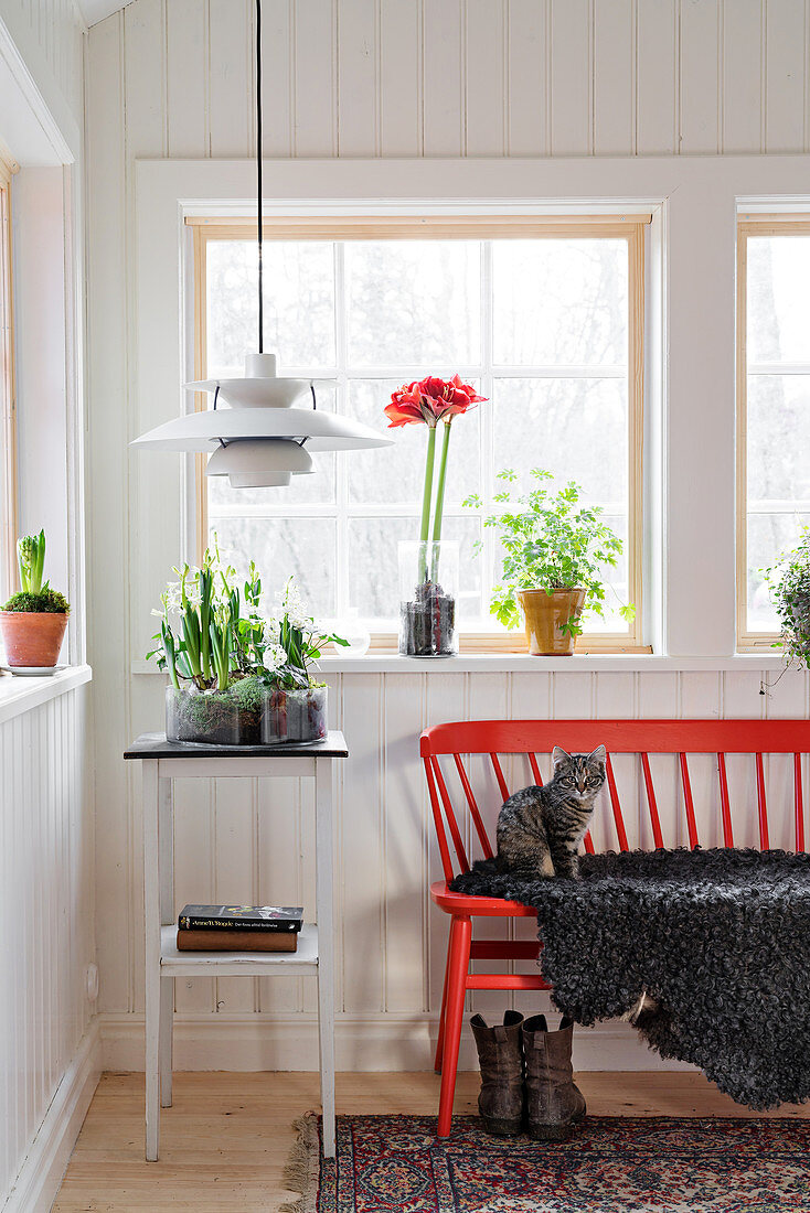 Katze auf roter Sprossenbank und Beistelltisch vorm Fenster