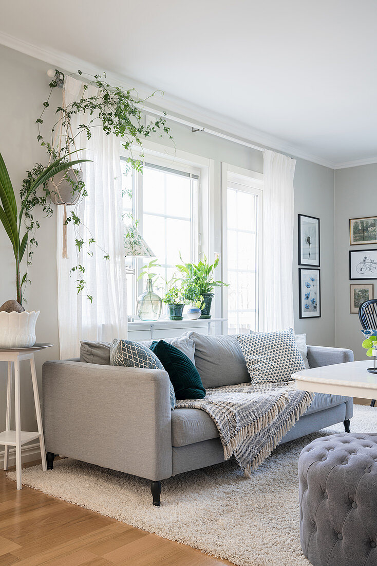Couch and houseplants in bright living room