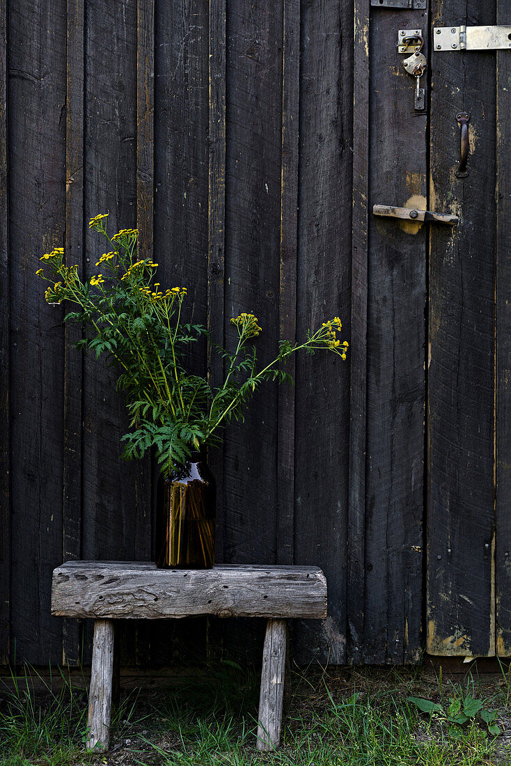 Gelb blühende Wildblumen in Vase auf rustikalem Hocker vor dunkler Holztür