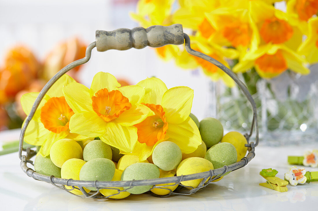 Daffodils in basket