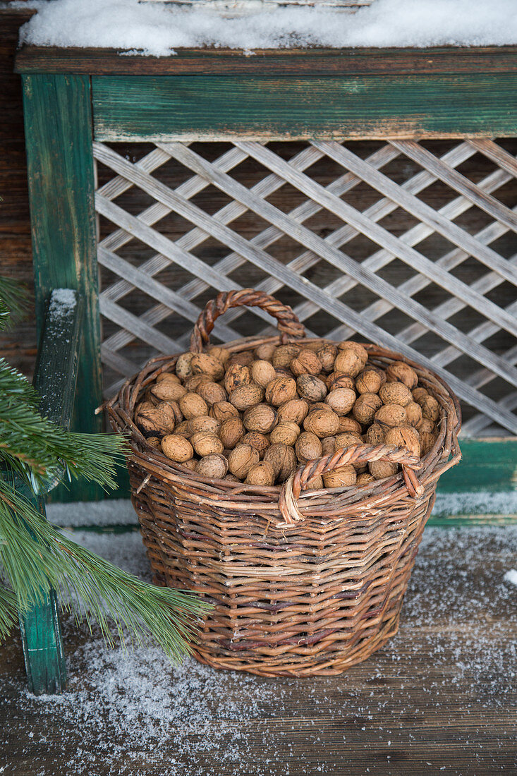 Ein Weidenkorb voller Nüsse vor rustikaler Holzbank im Freien