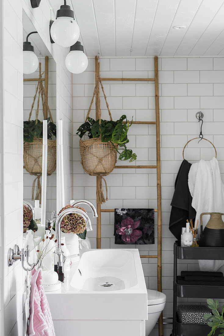 Bohemian-style bathroom with ladder shelves and plant in hanging basket