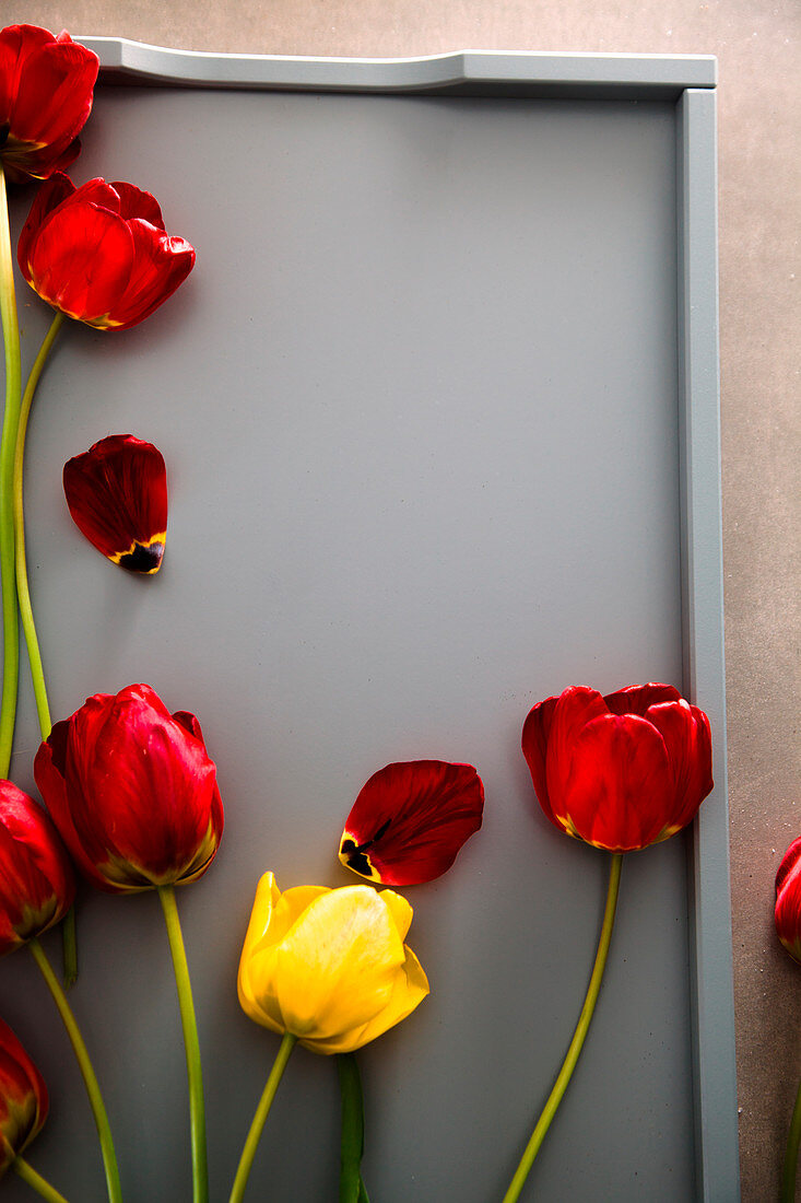 Rote Tulpen auf grauem Tablett